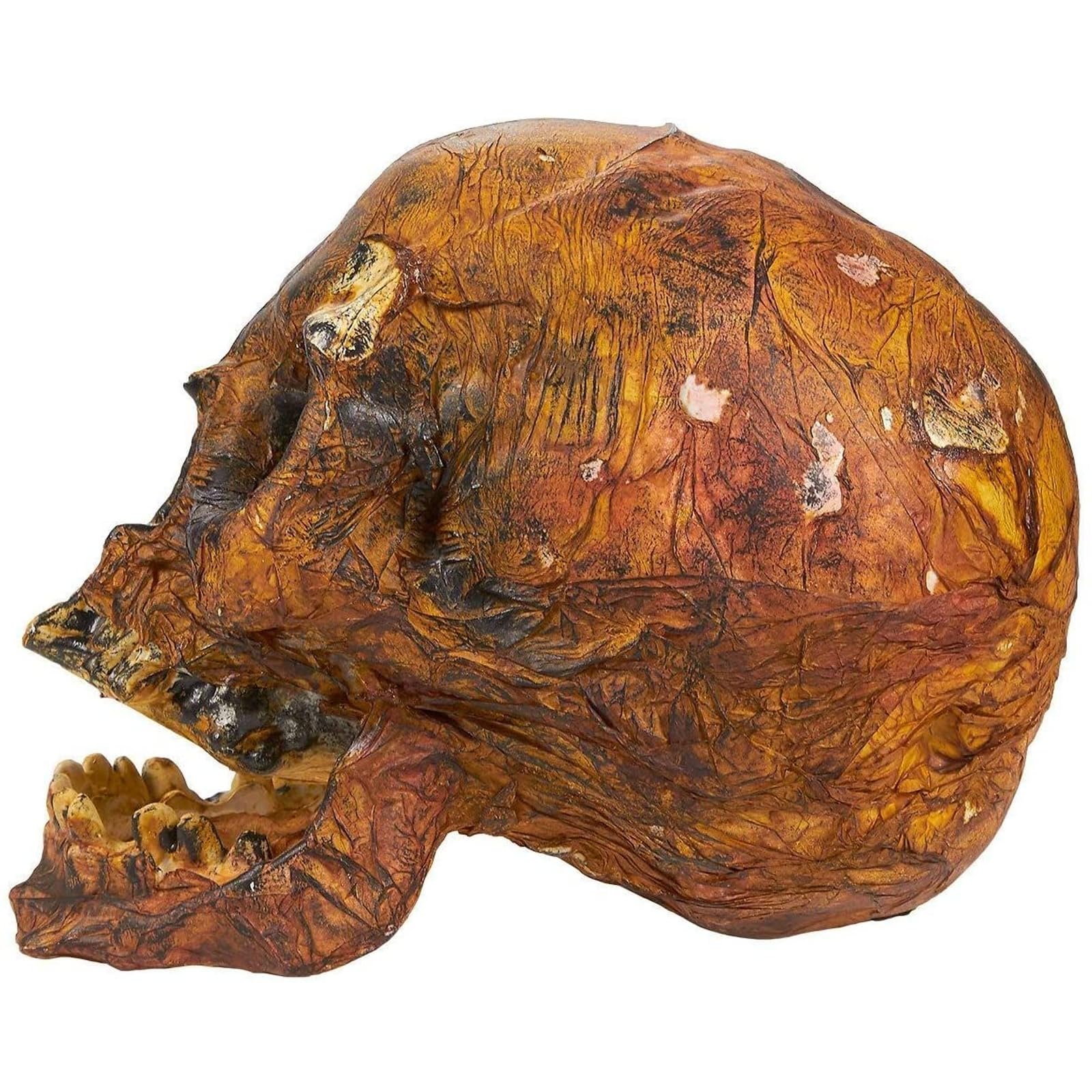 Blue Panda Plastic Skull for Halloween, Rotting Fake Skeleton Head